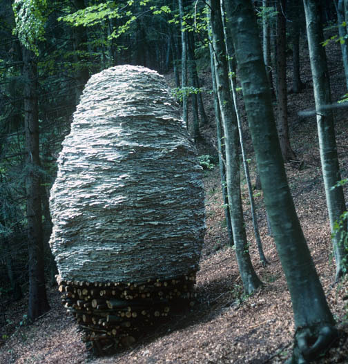 Like a hive, like an egg?   2002   Arte Sella, Italy  wood, paper